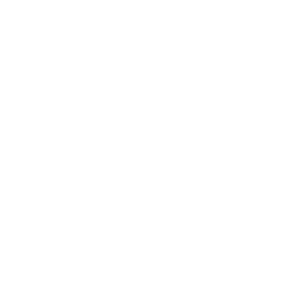Roof maintenance service